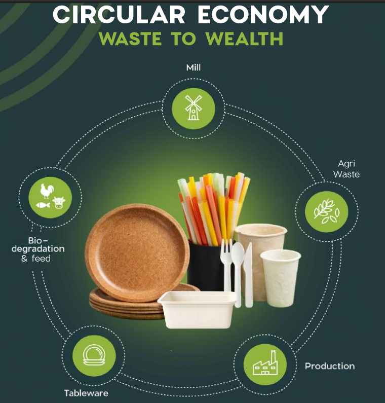 Biodegradable Tableware